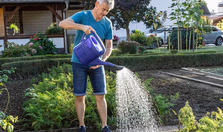 Arroser intelligemment grâce aux équipements de jardin économes en eau
