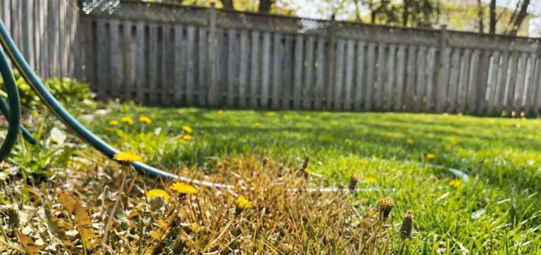 Pourquoi l&rsquo;herbe jaunit-elle au printemps malgré un entretien régulier ?