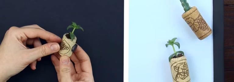 Parkside révolutionne le marché : découvrez pourquoi cette perceuse-visseuse à prix mini fait autant parler d&rsquo;elle